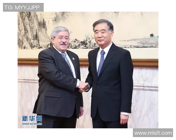 塞内威亚与阿尔及利亚的激烈对决揭示非洲足球的魅力与潜力